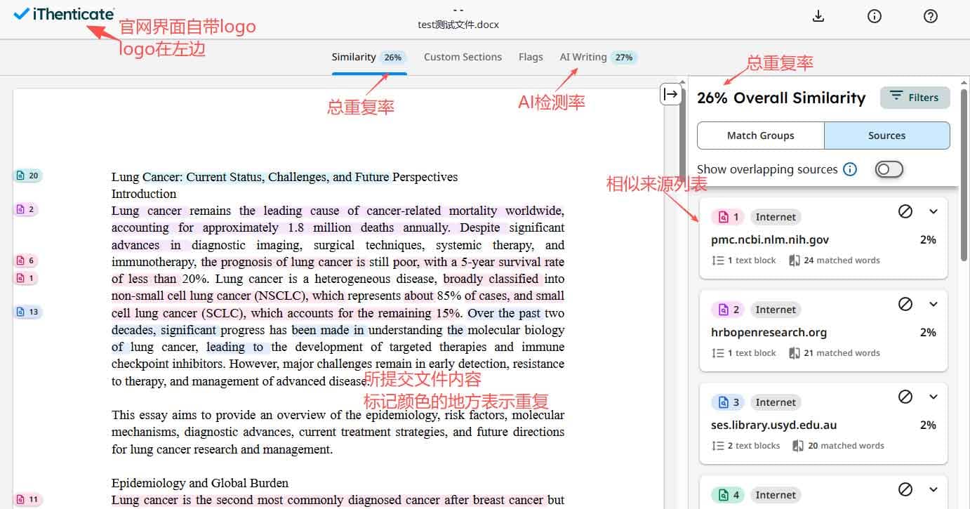 iThenticate查重报告